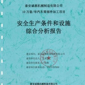 综合分析报告